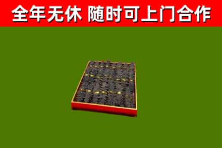 孟津县回收海参